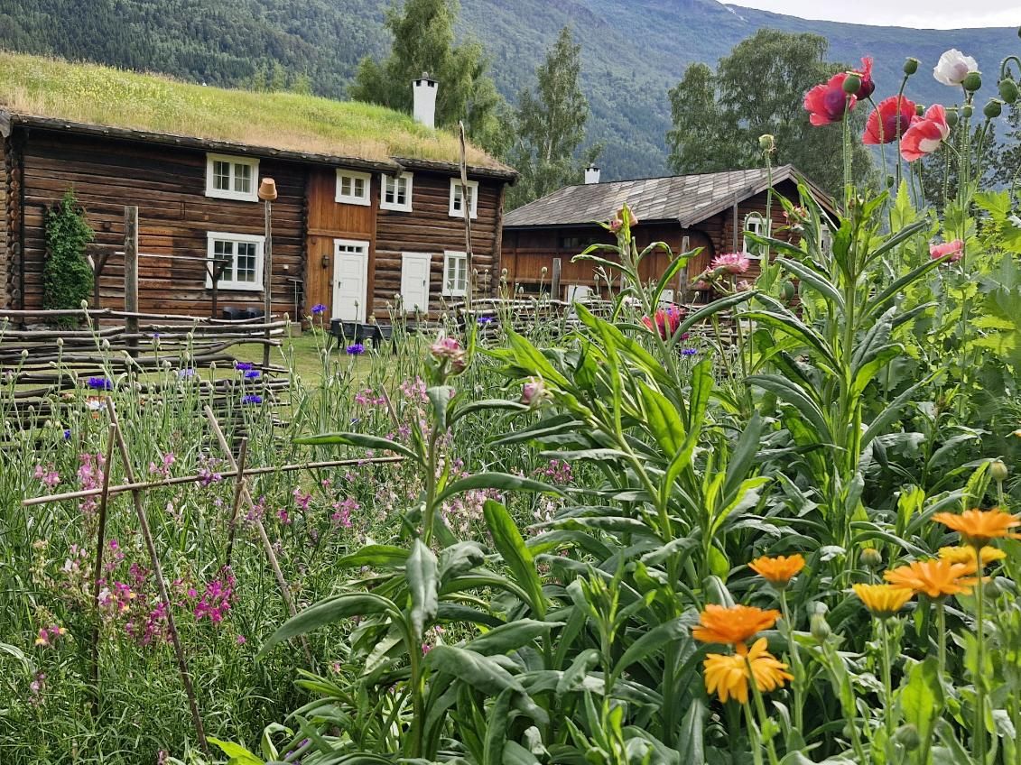 Blomsterhagen foran tunet